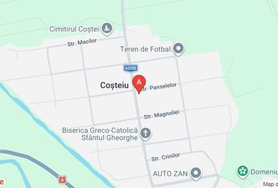 Casă individuală cu 5 camere cu Teren 1480 Mp în Coșteiu - 1