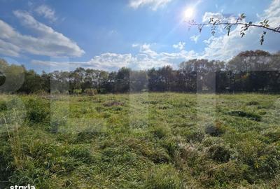 Spațiu comercial, în Sălicea - 1