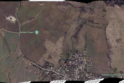 Teren de 165000 mp, în Pleașa - 3