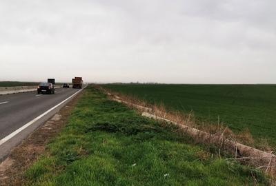 Teren de 45000 mp, în Mihail Kogălniceanu - 5