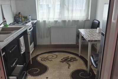 Apartament semidecomandat în Paltin - 2