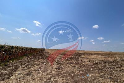 Teren de 5041 mp, în Pielești - 7