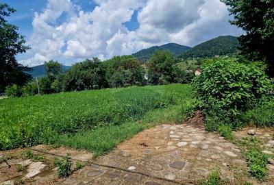 Teren intravilan 1000 mp - Viisoara, utilitati - 7