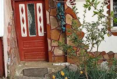 Casă cu 5 camere cu Teren 600 Mp în Colți - 4