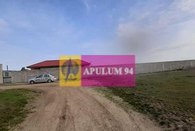 Teren de 369 mp, în 1 Decembrie - 4