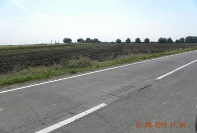 Teren de 5000 mp, în Cazasu - 2