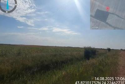 Cota de 1/4 din teren loc. Amarastii de Jos, Jud Dolj - 7