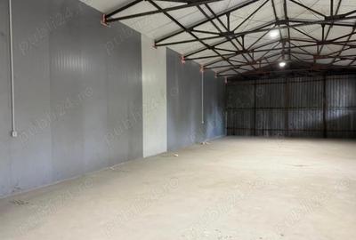 Spațiu comercial, de 230 mp, în Central - 1