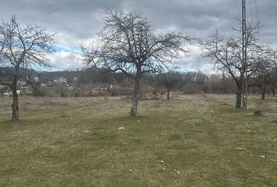 Teren de 4400 mp, în Voila - 9