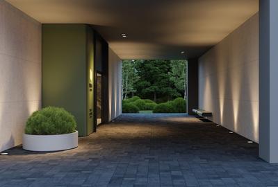 Prima Astera- studio- cesiune - 3