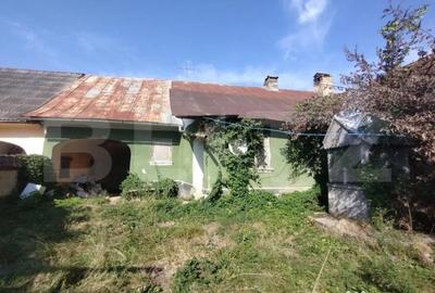 Casă cu 4 camere cu Teren 6700 Mp în Dorolea - 11