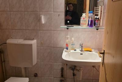 Titan, chiar la intrare in Parcul IOR, pe Lunca Bradului, la Scoala 195 - 2