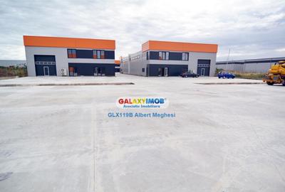 Hala 572 mp Chiajna - 11