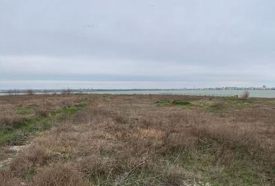 Teren Construcții intravilan de 1212 mp, în Palazu Mare - 6