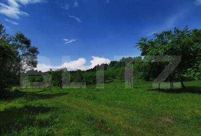 Teren, aproximativ 1 ha, in apropiere de Bistrita - 3