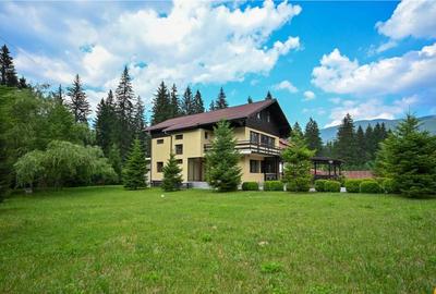 FILM!Resedinta cu farmec montan, domeniu de 1.700 mp,cadru s - 8