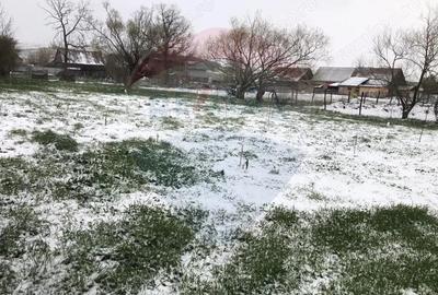 Casa langa Viscri de vanzare/schimb cu ap 2 cam Brasov Casa langa Viscri de vanzare/schimb cu ap 2 cam Brasov - 15