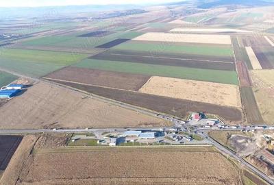 Teren de 10000 mp, în Reci - 5