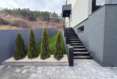 Duplex Premium 5 cam , 223 mp Grigorescu - 2