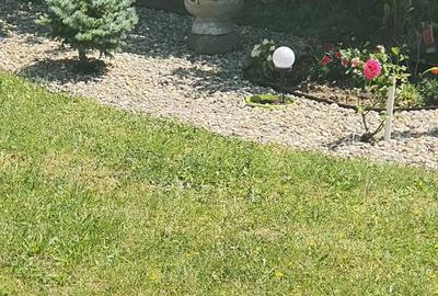 Casă cu Teren 1000 Mp în Central - 10