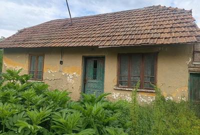 Casă cu 3 camere cu Teren 20 Mp în Seaca de Câmp - 2