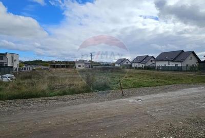 Teren de 720 mp, în Lisaura - 7