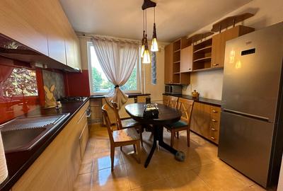 Apartament 4 camere  Pet friendly Costin Georgian Centrala Ac Parc IOR - 2