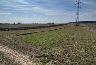 Spațiu comercial, în Burdujeni - 1