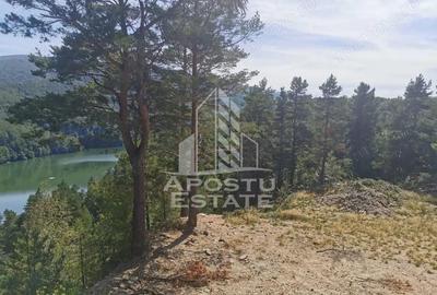 Teren de 2000 mp, în Văliug - 8