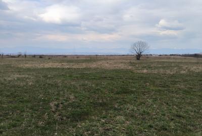 Spațiu comercial, în Dănești - 9