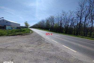 Teren de 2600 mp, în Frumușani