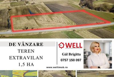 Spațiu comercial, în Bățani - 1