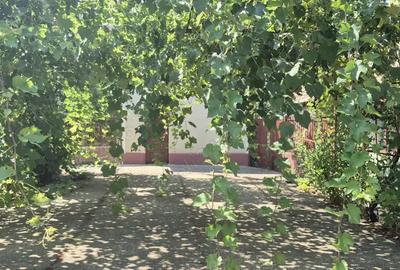 Casa cu spatiu comercial si livada de vanzare - Crangu - Teleorman - 6