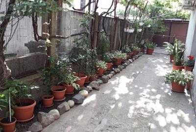 Casa P+E, 1978, Timisoara, Printul Turcesc, cu ap. cu 3 cam/nivel + anexa - 10