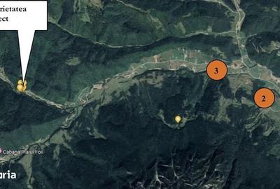 Teren de 7591 mp, în Poiana Mărului - 8