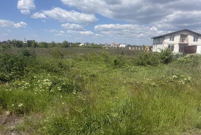 Spațiu comercial, în Ciorogârla - 6