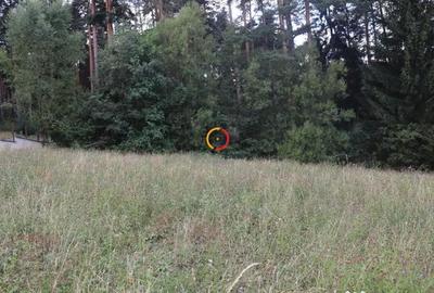 Teren de 1195 mp, în Central - 1