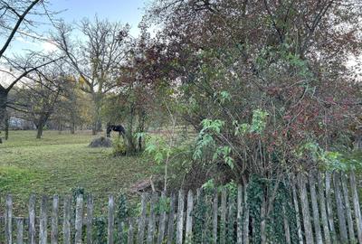 Teren de 2050 mp, în Cernești - 6