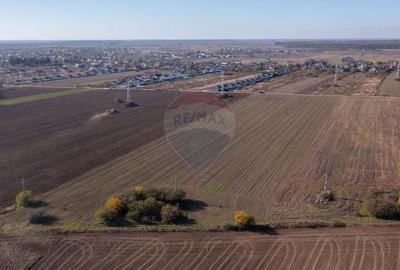 Teren Construcții intravilan de 7500 mp, în Săbăreni - 8