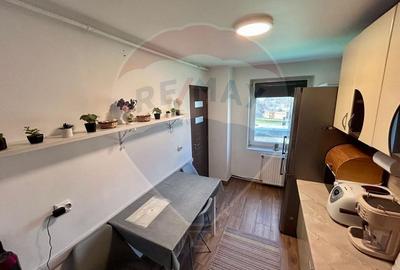 Apartament cu 3 camere decomandat, mobilat în Depozitelor - 3