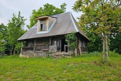 Teren de 5000 mp, în Cărbunari - 3