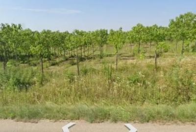 Teren de 22000 mp, în Seciu