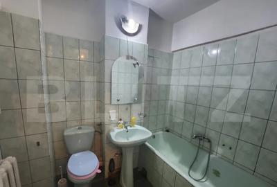 Apartament cu 2 camere decomandat în Cetate - 8