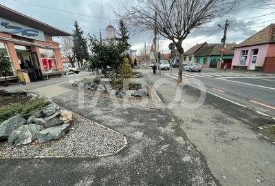 Casa individuala 2 camere renovata complet cu garaj si curte Lazaret - 13