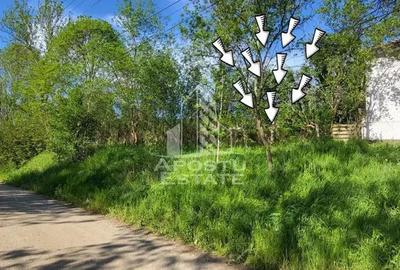 Teren intravilan, In Rate Cuied Arad - 2