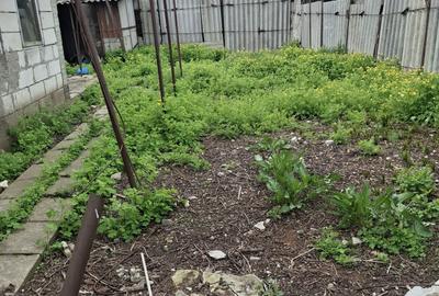 Casă cu 3 camere cu Teren 346 Mp în Brătianu - 2