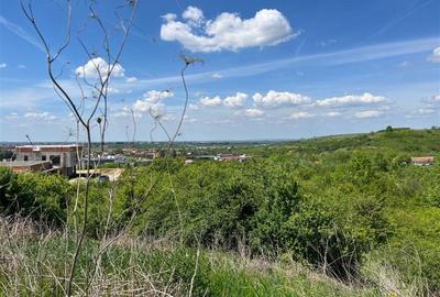 Teren Construcții extravilan de 8200 mp, în Central - 15