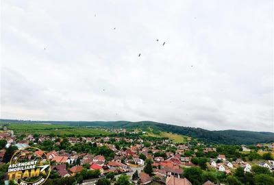 3D Tur! 3 camere,decomandate,apreciabila ariere,Dealului,Simeria,Sfantu Gheorghe - 3