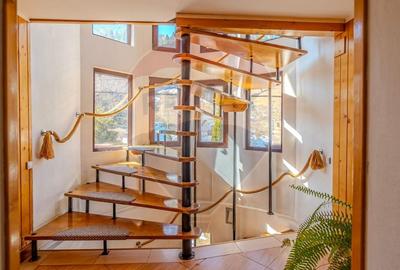 VILA SCANDINAVIA / Pensiune / Moieciu de Sus - 8