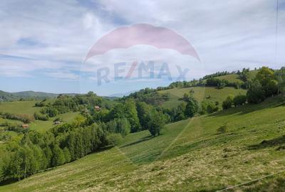 Teren 20,131 mp/Extravilan/Poiana Marului - 5